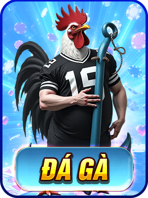 đá gà